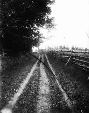 black and white photo of a rutted dirt lane