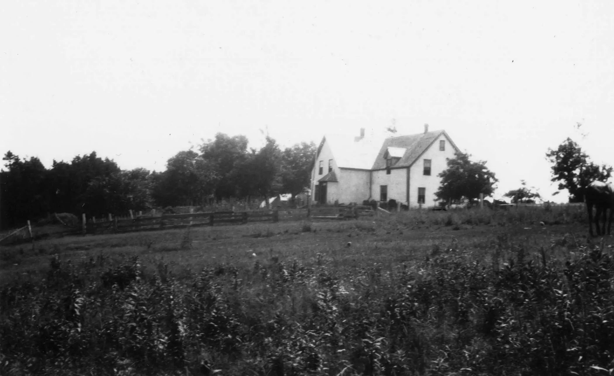 Black and white image of a white home on a hill, fences and farmyard in the foreground