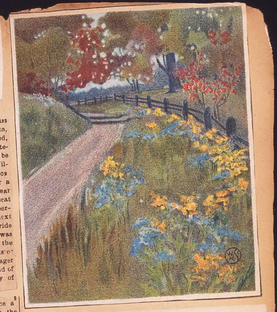 Une illustration colorée d’un petit chemin menant à une route de campagne et bordée de fleurs et d’arbres.