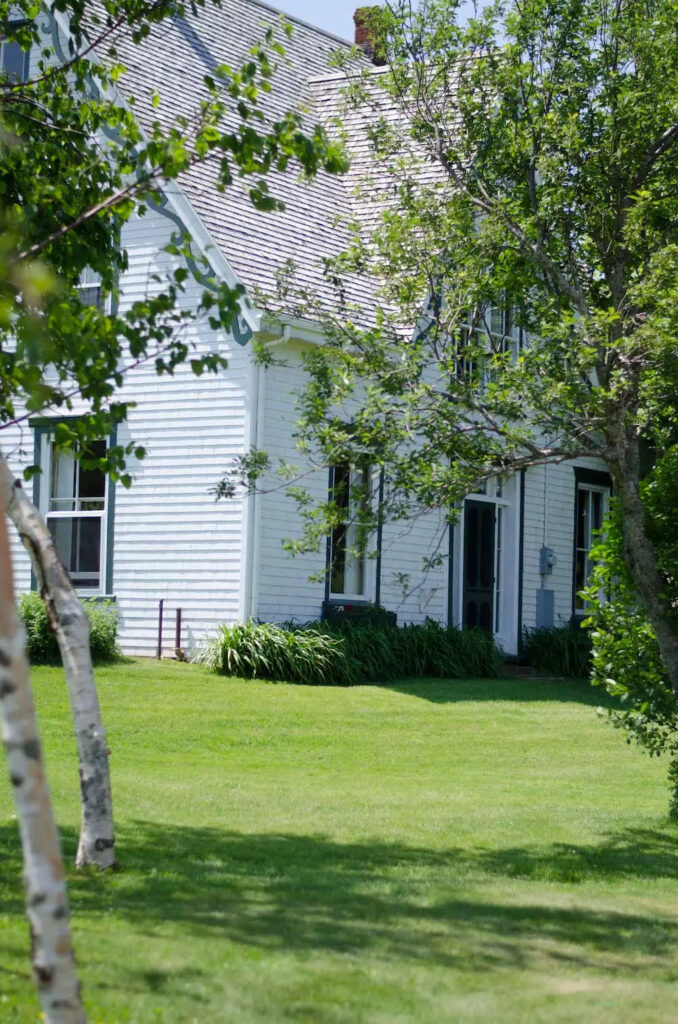 un coin extérieur ensoleillé d'une maison blanche avec une fine bordure verte, visible à travers quelques arbres.