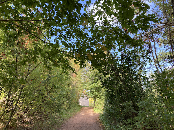 a reddish dirt path slopes upwards to a clearing, a thick, green canopy of trees on either side