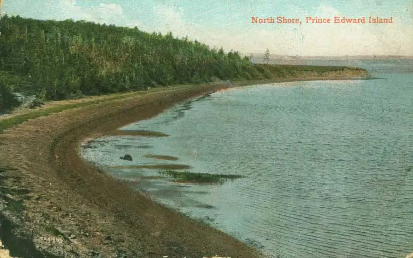 Une carte postale en couleur présentant une rive à l’Île-du-Prince-Édouard.